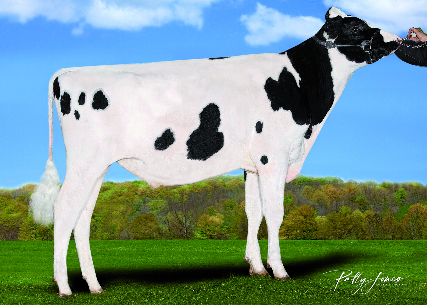 HUNTER-ET — 515HO00498